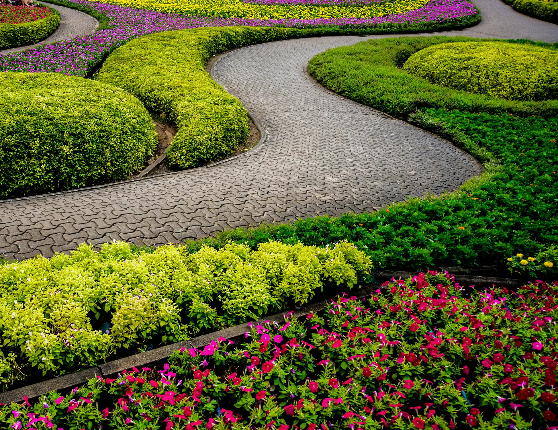 Planting & Gardens