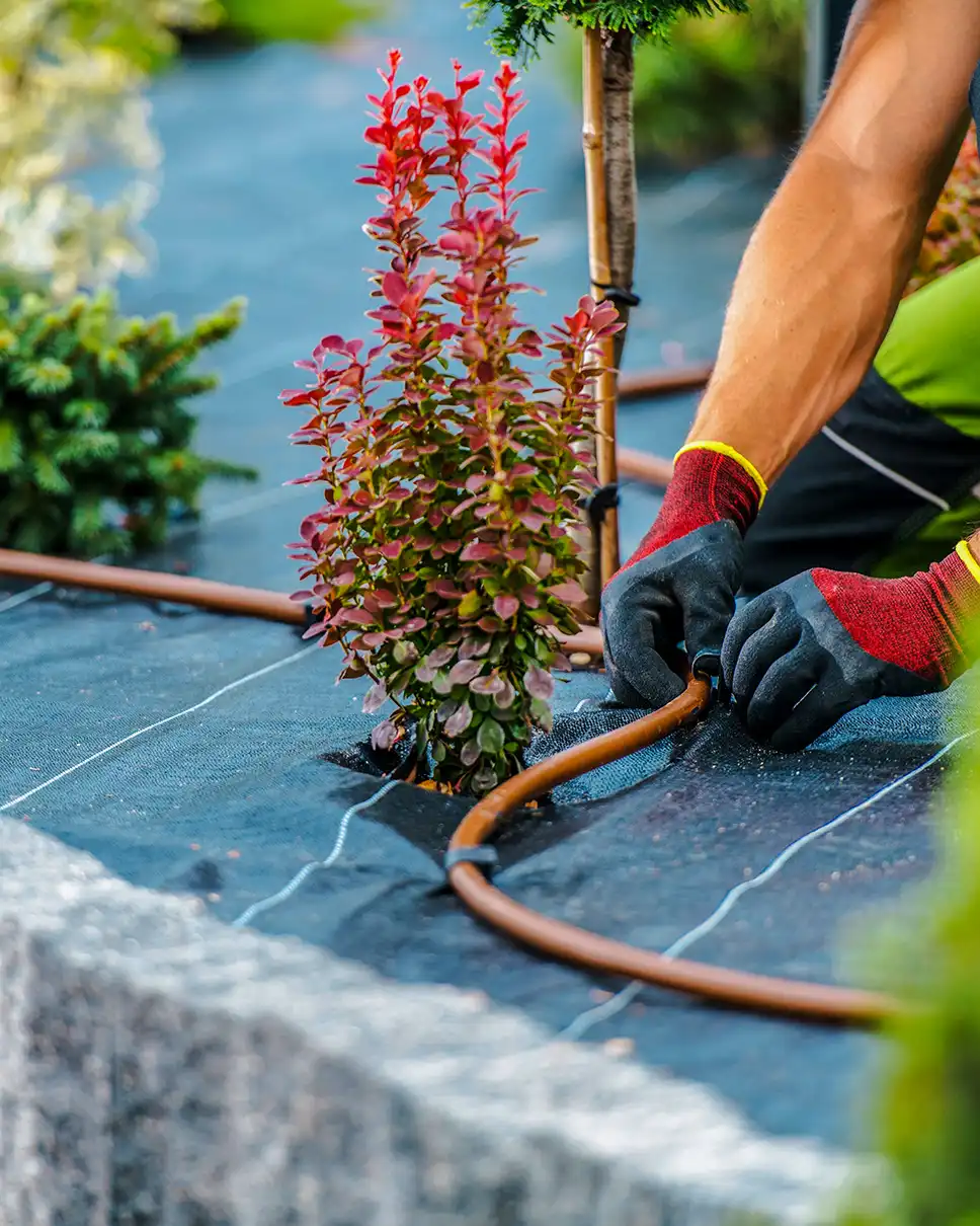 Site Infrastructure First